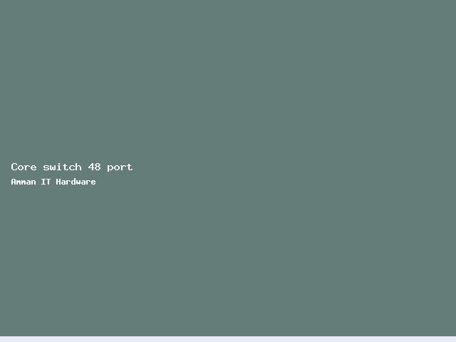 Core switch 48 port