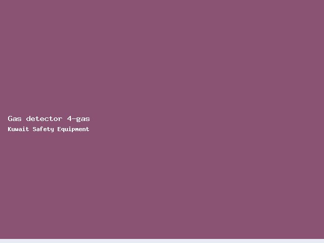 Gas detector 4-gas