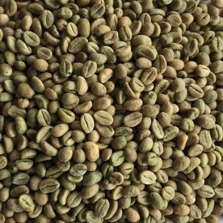 Green Coffee Beans