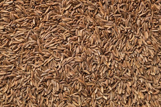 Cumin Seeds