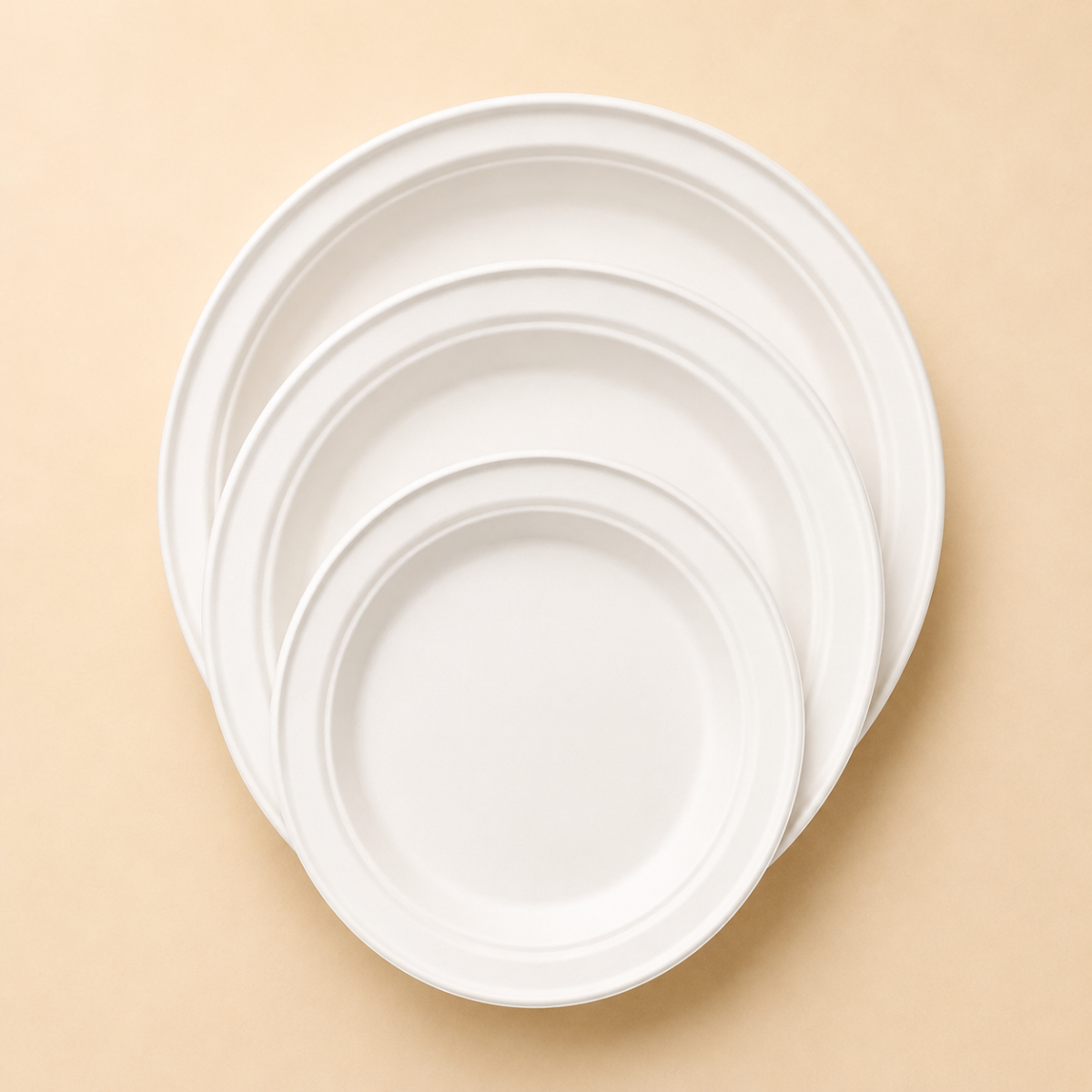 Sugarcane bagasse plates