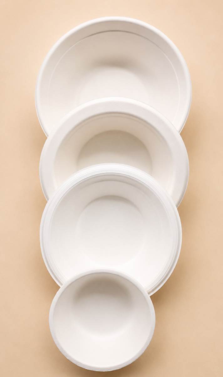 Sugarcane bagasse Bowl (Round)