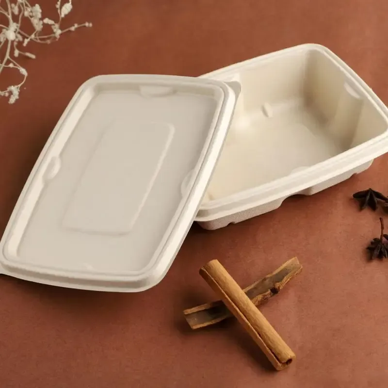 Sugarcane bagasse Container (Rectangle)