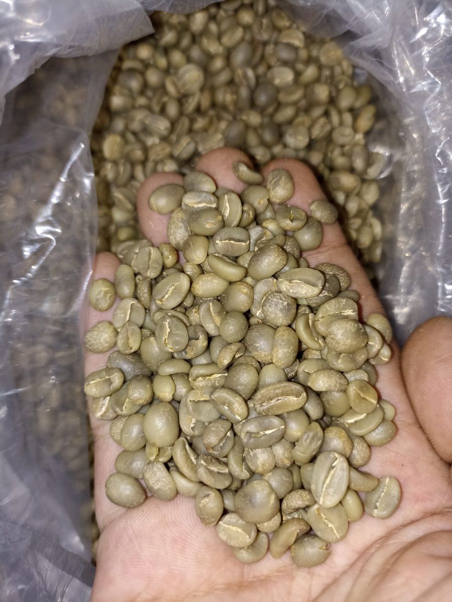 Arabica Coffee Beans