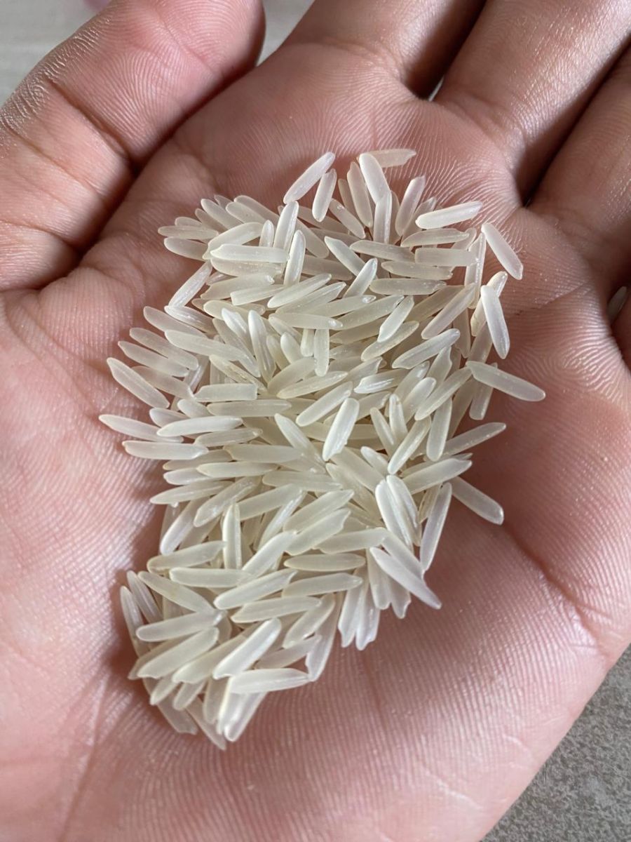 1121 basmati rice