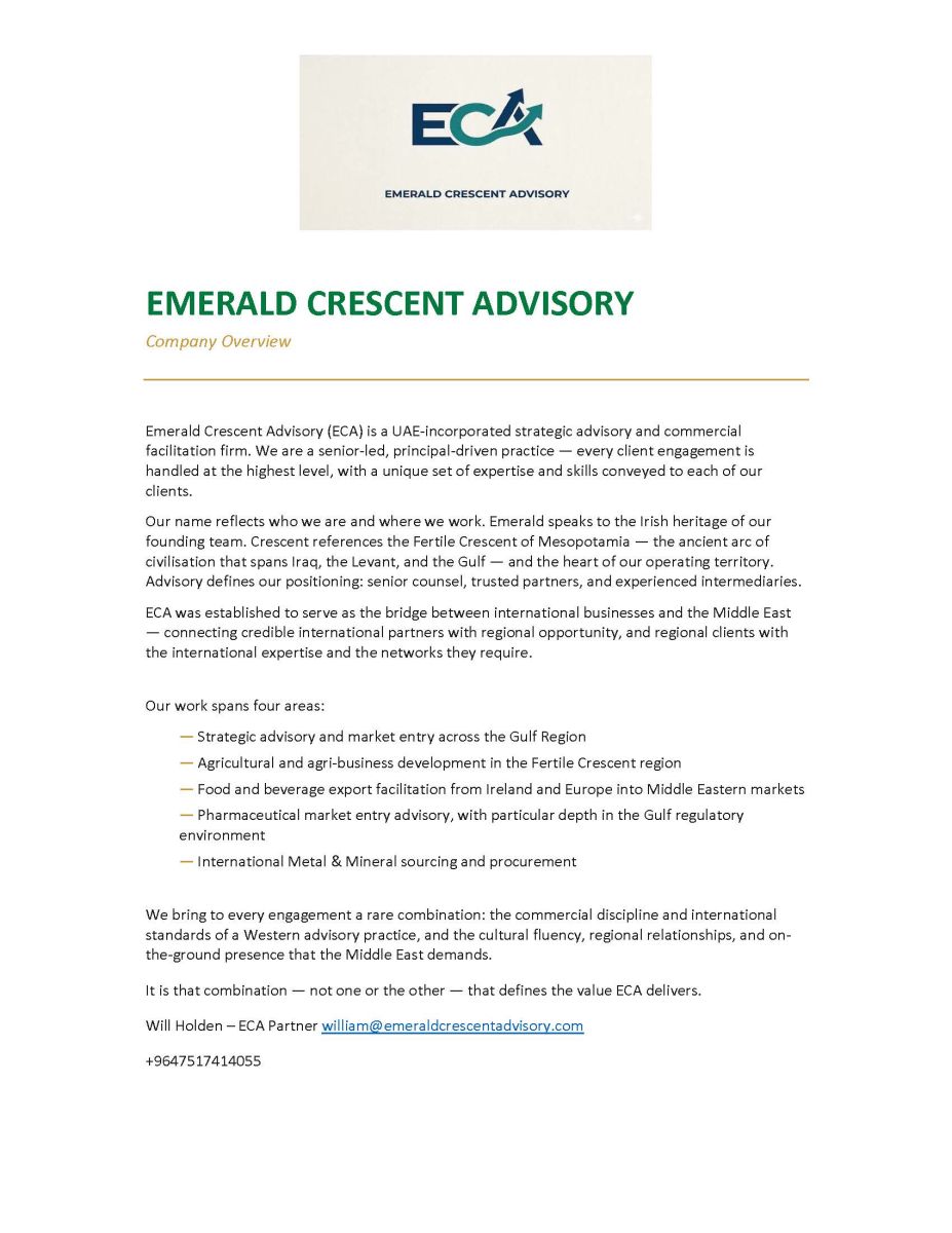 International Consultancy Services - Europe Middle East Iraq Kurdistan