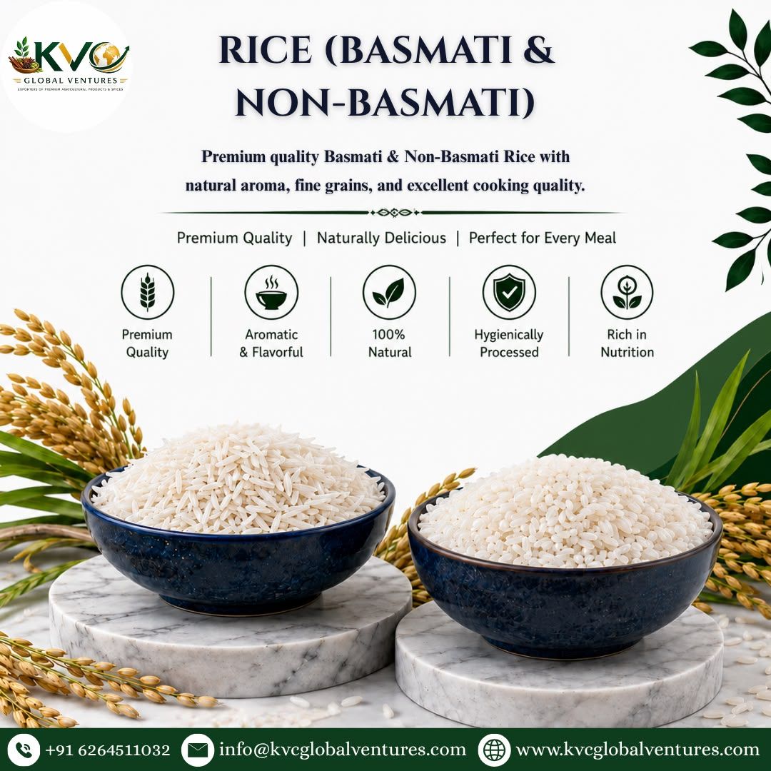 Basmati & Non Basmati Rice