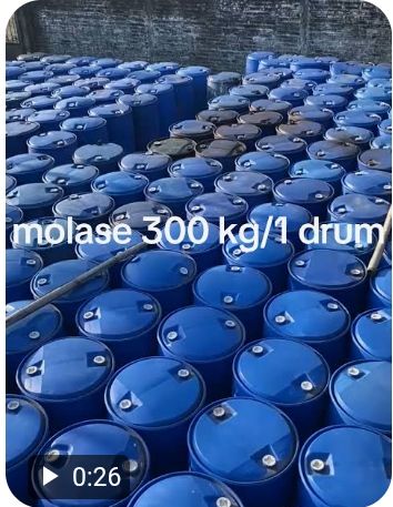 Sugarcane Molasses