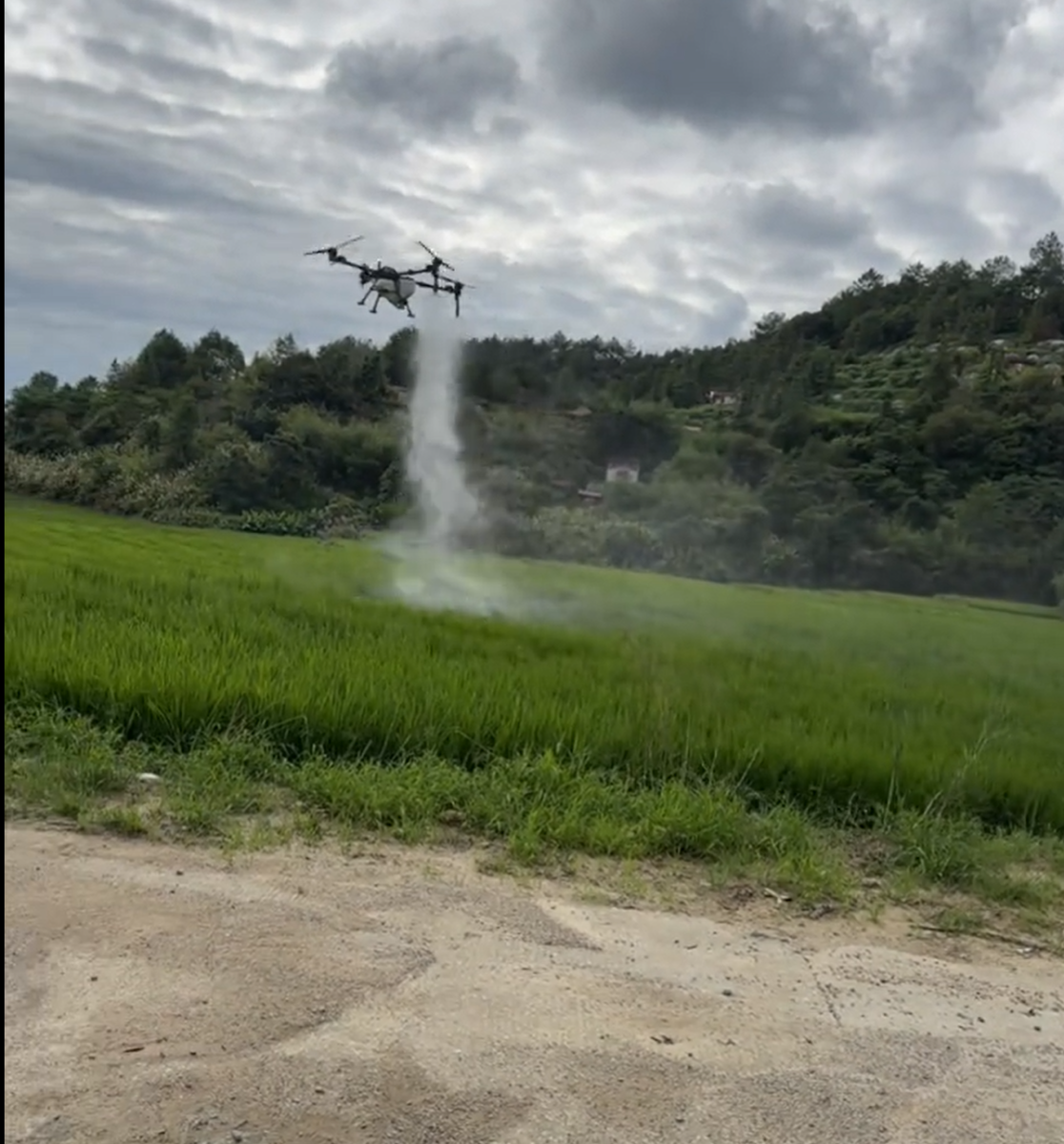 Agricultural spray drone