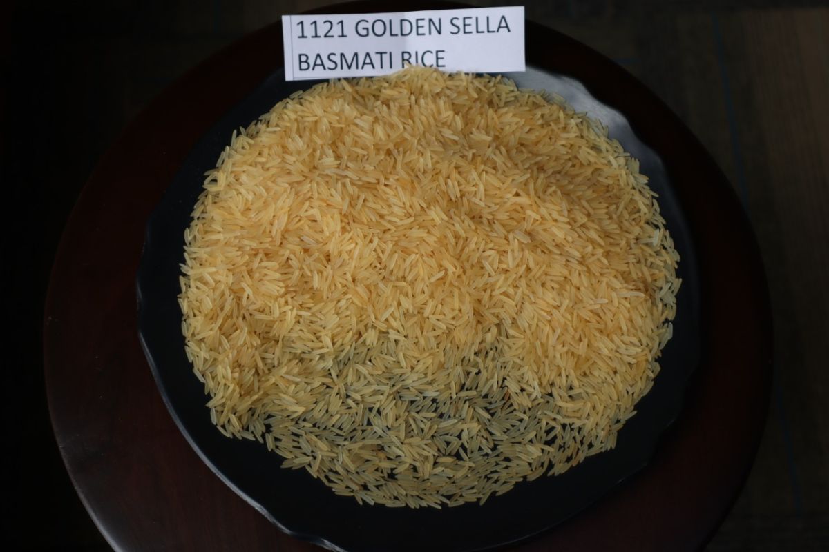 1121 GOLDEN BASMATI