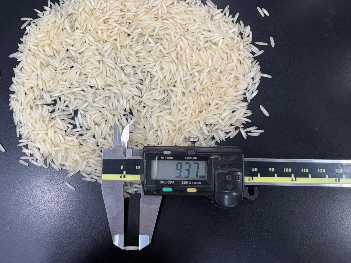 1121 STEAM BASMATI