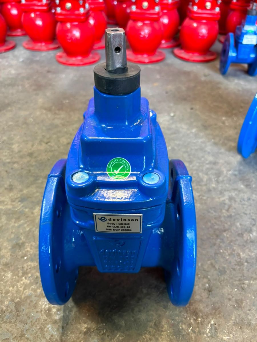 DGV R4 Resilient Seated Gate Valve