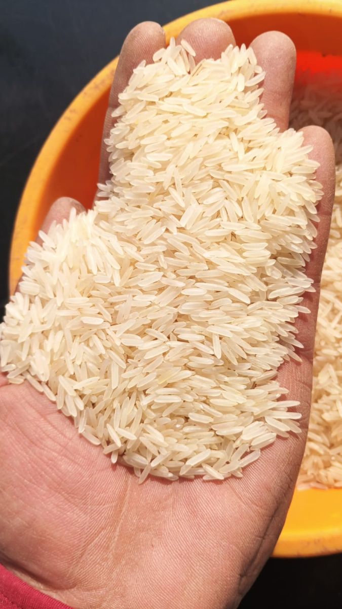 Rice Basmati & non-Basmati