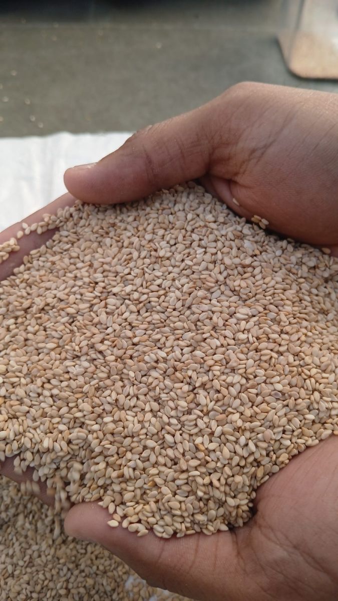 Sesame seeds