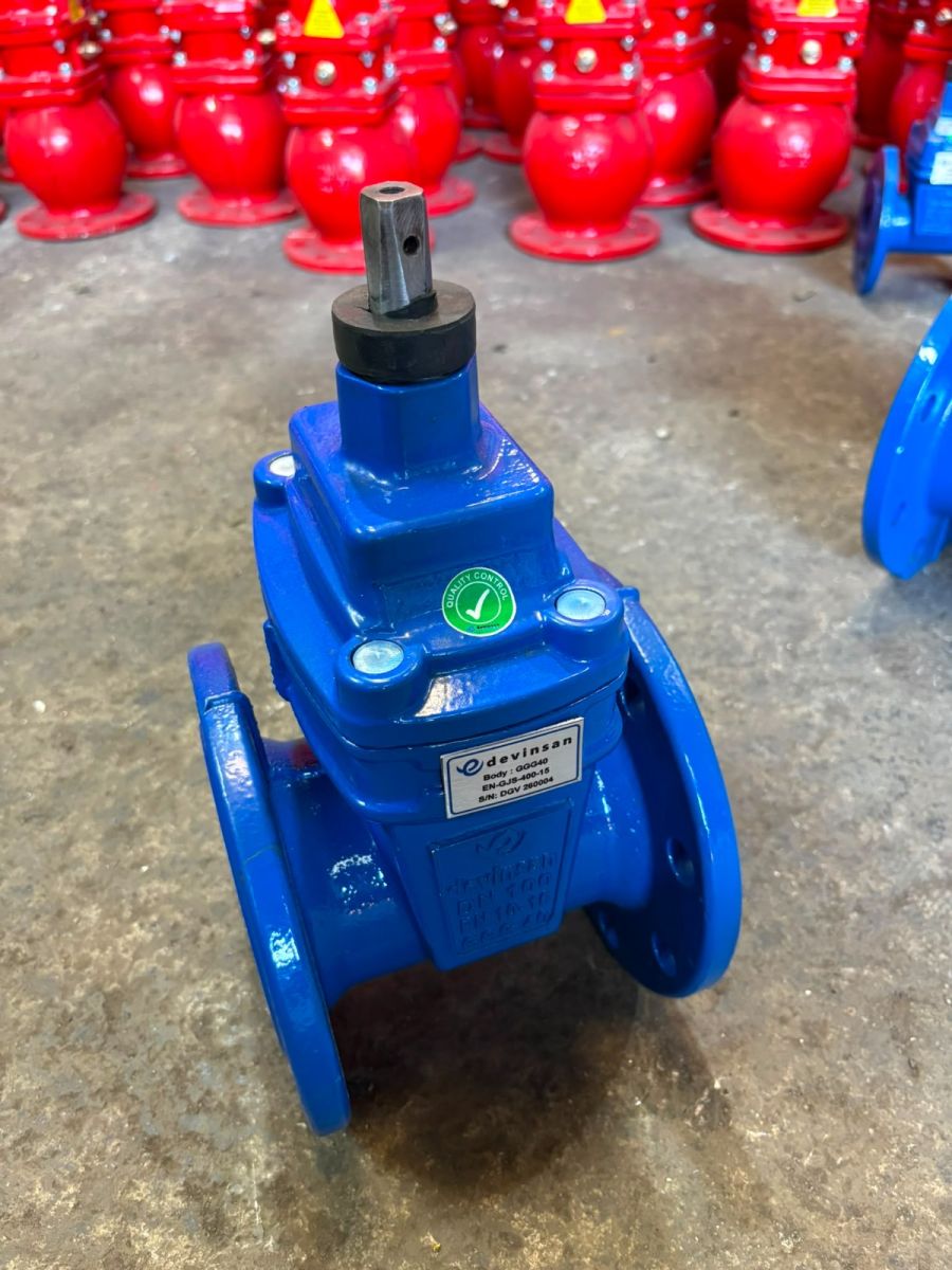 DGV F4 Resilient Seated Gate Valve
