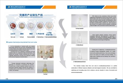 Hongye Holding Group